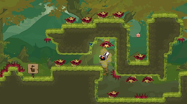 The Friendliest Skunk