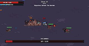 Crypt Survivor