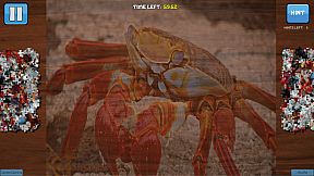 Bepuzzled Jigsaw Puzzle: Aquatic