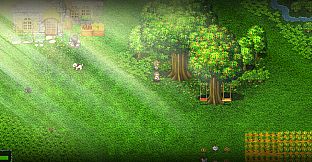 Don't Go into the Woods