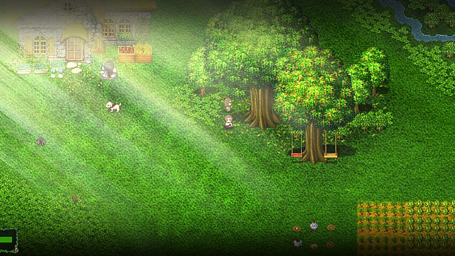 Don't Go into the Woods