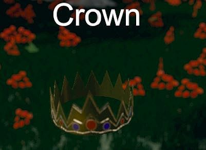 Hide and Seek - Crown