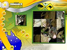 Wildlife Creative Studio