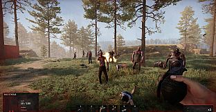 Road of a Survivor