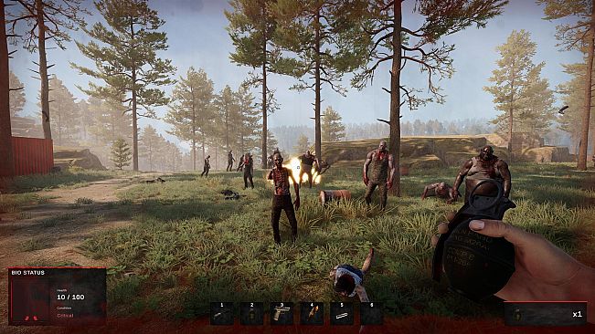 Road of a Survivor
