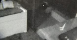 Day Scanner: Iteration 1