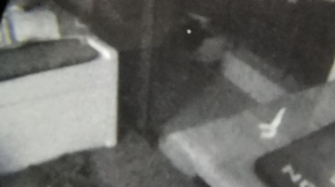 Day Scanner: Iteration 1