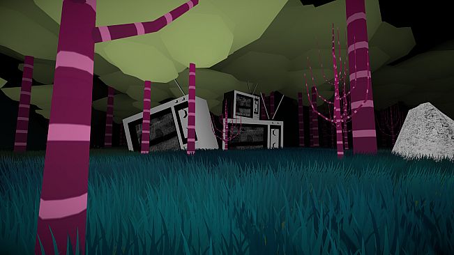 VideoHole: Episode II