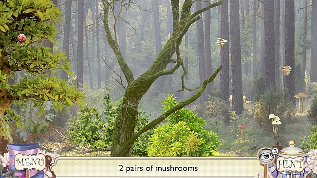 Alice's Adventures - Hidden Object Puzzle Game