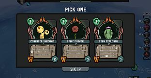 King Wizard, of the Forest Kingdom