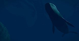 Virtual Arctic Expedition