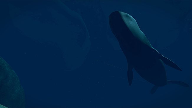 Virtual Arctic Expedition