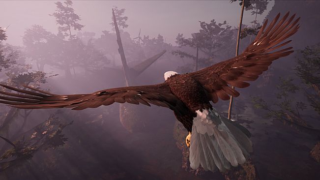 Away : The Survival Series