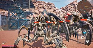 Desert Echo