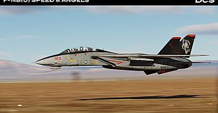 DCS: F-14B(U) Speed & Angels Campaign by Reflected Simulations