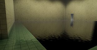 Transcendence in the Poolrooms
