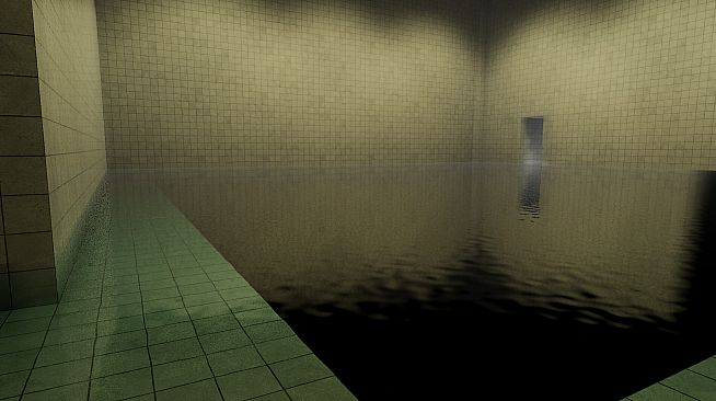 Transcendence in the Poolrooms