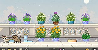 Bloom Cats
