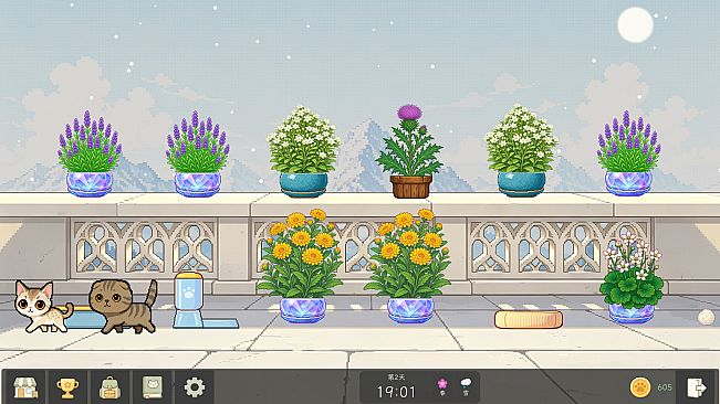 Bloom Cats