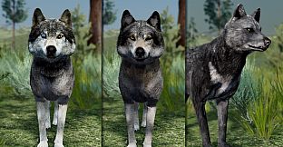 WolfQuest Anniversary - Building Character Pack