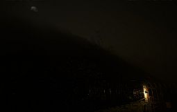 Project Horror Tales