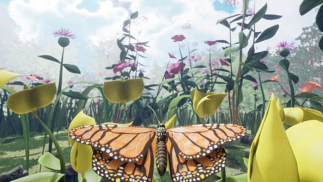 Butterfly Skins - Drunk On Nectar