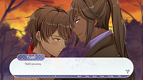 Unluckily in Love: Fragments of Love