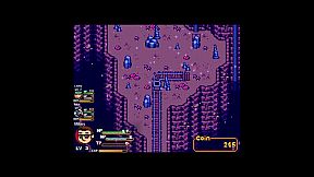 Paths of the Visionaries