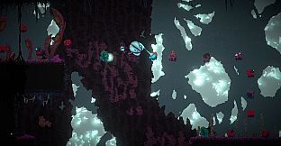 seed