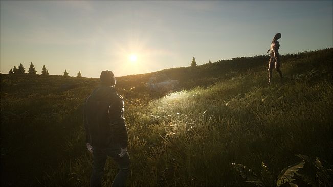 Shattered: Wasteland Dominion