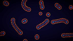 Parametric Creature: Lab