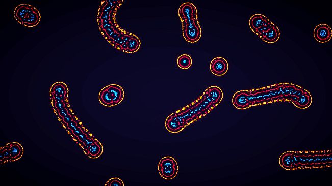 Parametric Creature: Lab