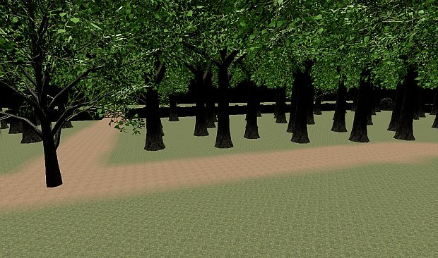 Playtime with Hoogie