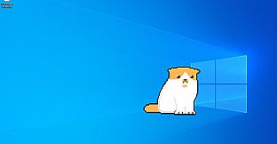 Your Sweet Little Kitty