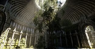 NextVisuals Benchmark Forest