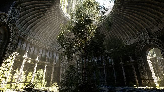 NextVisuals Benchmark Forest