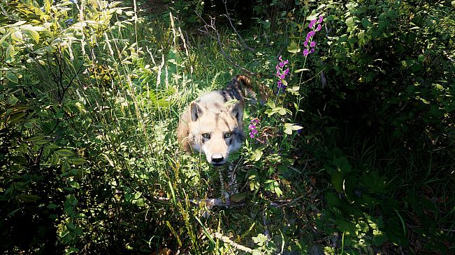 Russian Soul Simulator