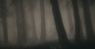Shroud of the Woods