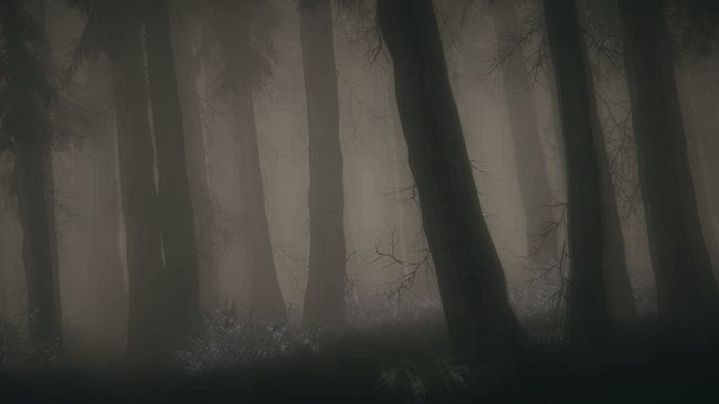 Shroud of the Woods