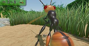 A little Jumpingspider's Garden Adventure (Day 1+2)