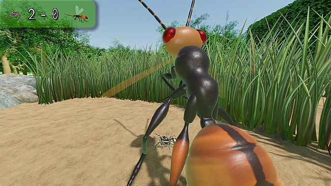 A little Jumpingspider's Garden Adventure (Day 1+2)