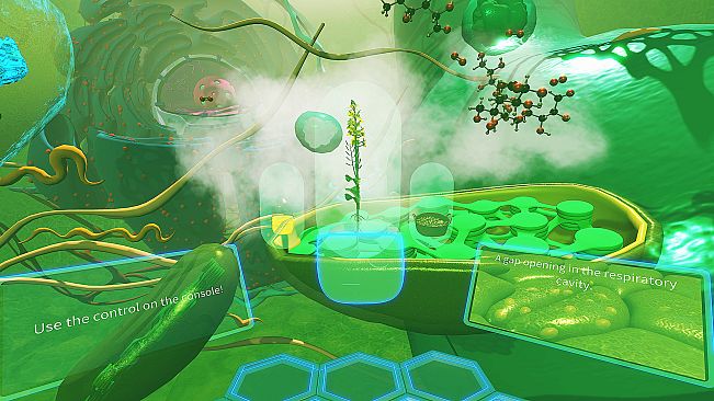 VR Plant Journey