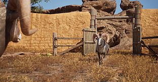 Ram Fights