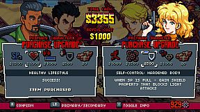 Double Dragon Gaiden: Rise Of The Dragons