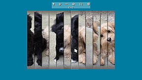 Jigsaw Puzzle Lovers