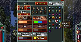 Heroes of Hammerwatch: Witch Hunter