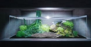 すずちな水族館 / Suzuchina Aquarium