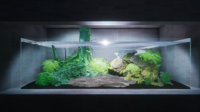 すずちな水族館 / Suzuchina Aquarium