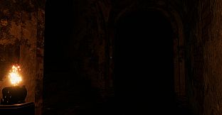 A Voice In The Dark