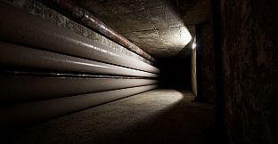 Backrooms: Escape Together
